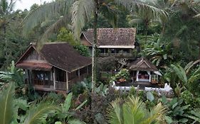 Niente Bali