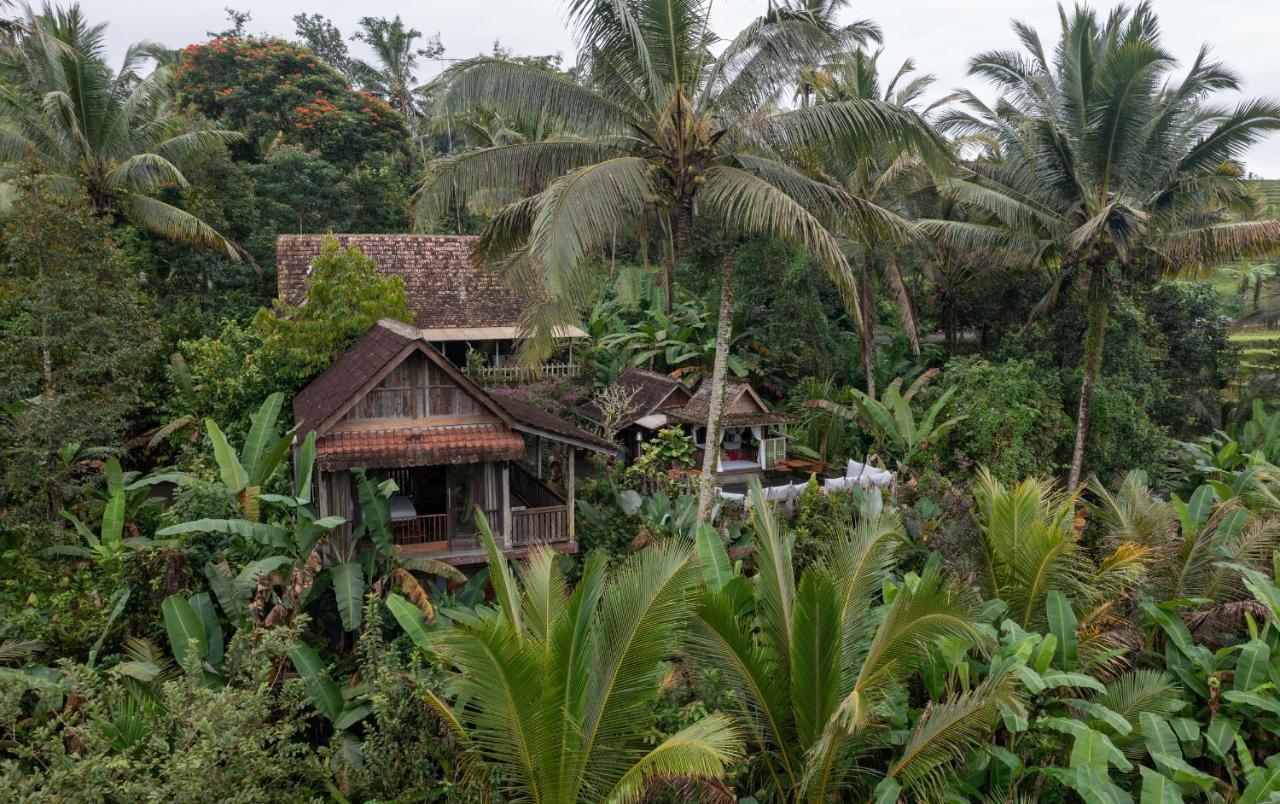 Niente Bali Villa Penebel Exterior photo
